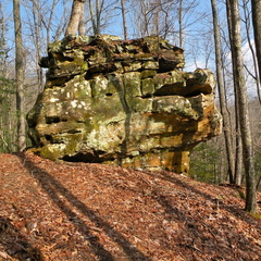 Bughead Rock - Koomer Ridge Trail